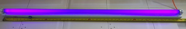 4 Feet UV Fluorescent Black Light
